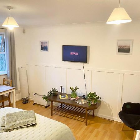 Bright And Comfortable Studio Apartment Λονδίνο Εξωτερικό φωτογραφία